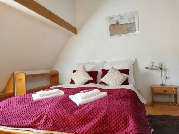 זקופאנה Apartament W Centrum Przy Kominku מראה חיצוני תמונה