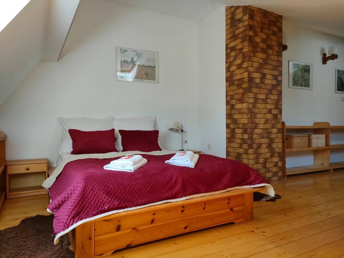 זקופאנה Apartament W Centrum Przy Kominku מראה חיצוני תמונה